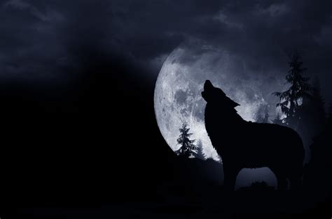 Howling Wolf Background - Littlegate Publishing