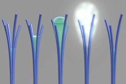 Nanorods Suck Moisture Right Out of the Air | Digital Trends