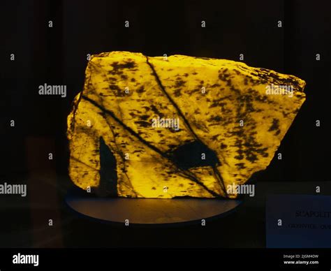 Yellow and Black Glowing Scapolite Rock - Geology Rocks Stock Photo - Alamy