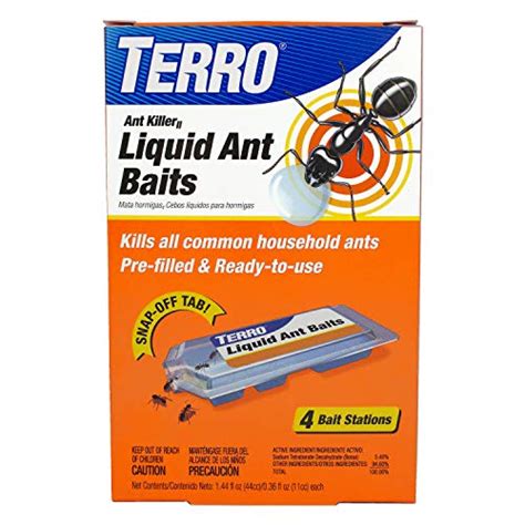 Best Bait Traps For Outsmarting Carpenter Ants