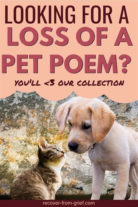 Touching Pet Loss Poems / Rest In Peace Horse Death Quotes Pet Loss Poem If It Should Be Pet ...