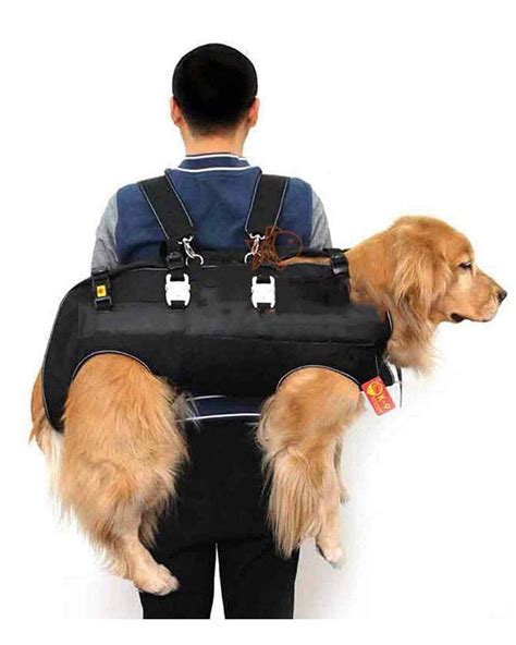 8 practical dog carrier backpacks for pups over 25 lbs – Artofit