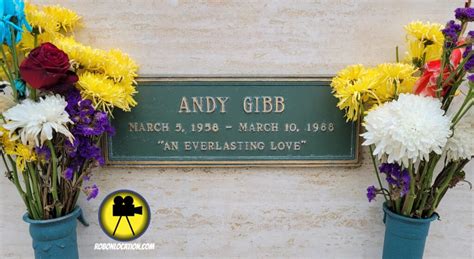 Andy Gibb - Rob on Location