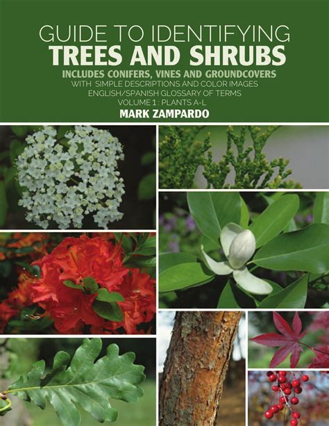 Guide to Identifying Trees and Shrubs Plants A-L eBook by Mark Zampardo - EPUB | Rakuten Kobo ...