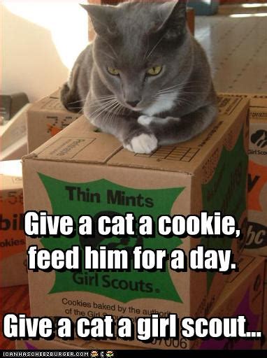 Girl Scout Cookie Quotes Funny. QuotesGram