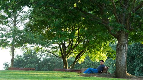 UC Davis Arboretum makes 10 most beautiful botanical gardens list! | UC Davis Arboretum and ...