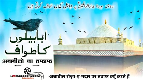 Ababil Bird In Makanpur Sharif Rozae Madaar ul Aalamin | Sy Mahzar Ali | Short Story | Madaari ...