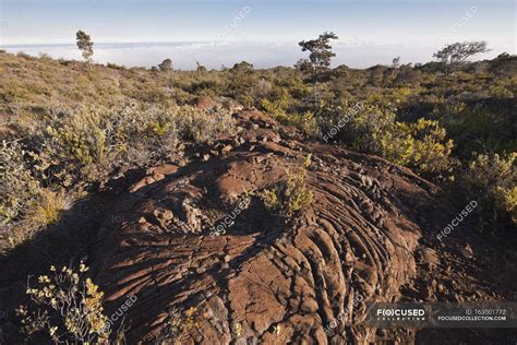 Pahoehoe Lava Formation — people, horizontal - Stock Photo | #163001772