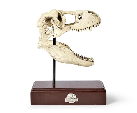 Buy Jurassic World Tyrannosaurus Rex Skull Resin Replica - 9x8-Inch ...