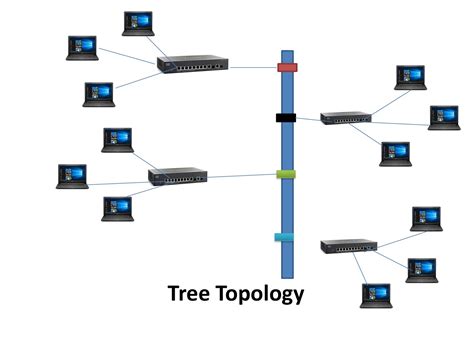 What is Tree Topology in Networking || Networking Chapter II Part 6