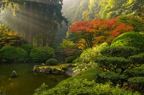 Ninbra (Japanese Garden, Portland, Oregon.)