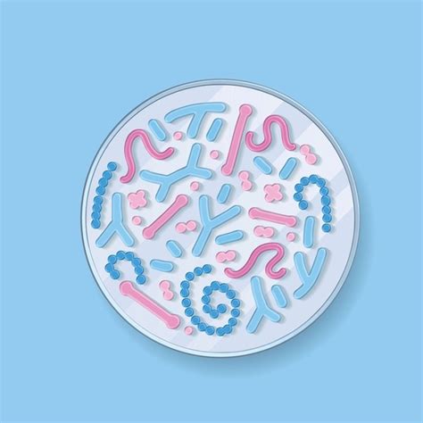 Bacterias Petri Dish: Over 2,902 Royalty-Free Licensable Stock Vectors ...