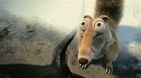 Ice Age Scrat GIF – Ice Age Scrat Surprised – Ищите GIF-файлы и обменивайтесь ими