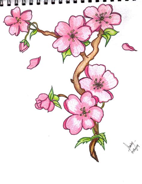 Pictures Of Flower Drawings - Beautiful Flowers