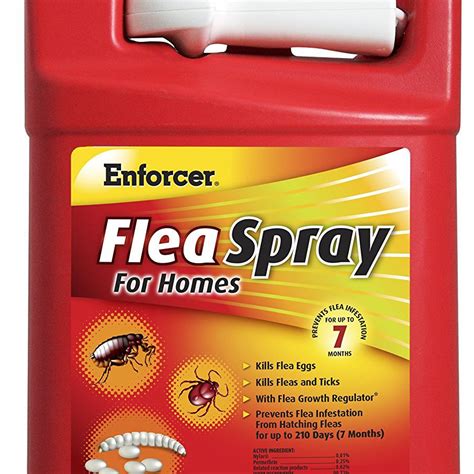 Homemade Flea Spray For Carpet And Furniture | Review Home Decor