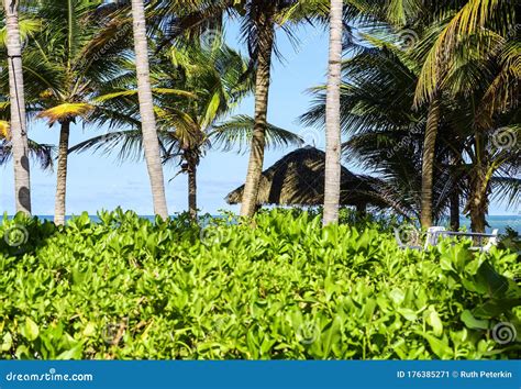 Tropical Beach Scene with Tiki Hut Stock Image - Image of blue, ocean: 176385271