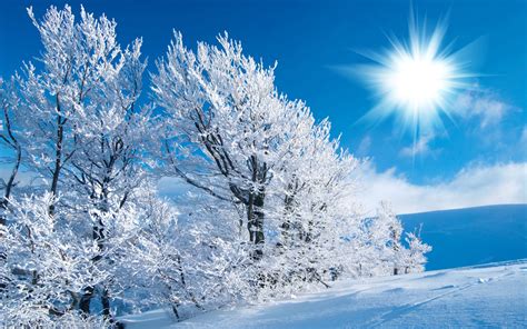 🔥 [42+] HD Free Wallpapers Winter Scene | WallpaperSafari