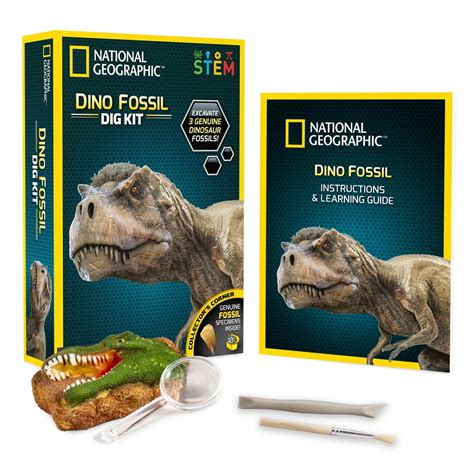 National Geographic Dinosaur Fossil Dig Kit, STEM Toy for Children - Walmart.com - Walmart.com