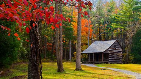 HD wallpaper: cottage, autumn, forest, trees | Wallpaper Flare