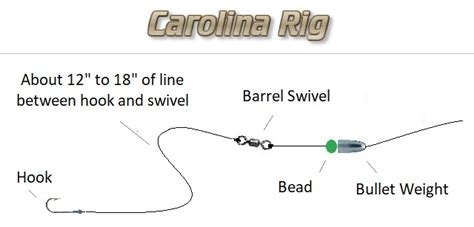 Carolina Rig Tips | Ultimate Fishing Site