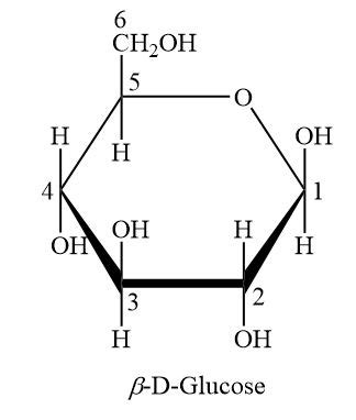 Glucose Molecule Model As A Ring Structure