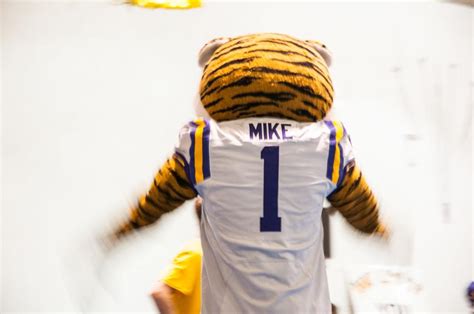 Suit Up: The students behind LSU’s iconic mascot | Legacy | lsureveille.com