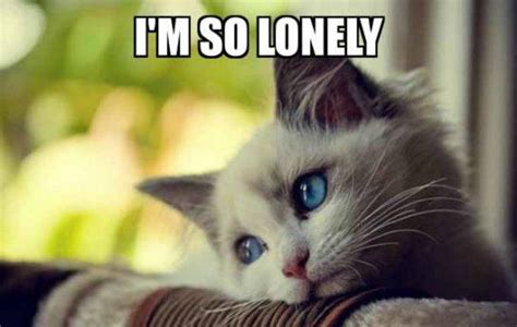 40 Lonely Meme To Help You Feel Better - Meme Central