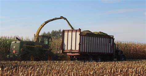 4 controllables to manage when harvesting silage