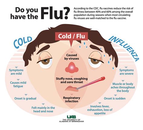 Flu A 2024 Symptoms