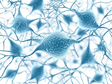 Delving deeper into neurofilament light chain - MND Research Blog