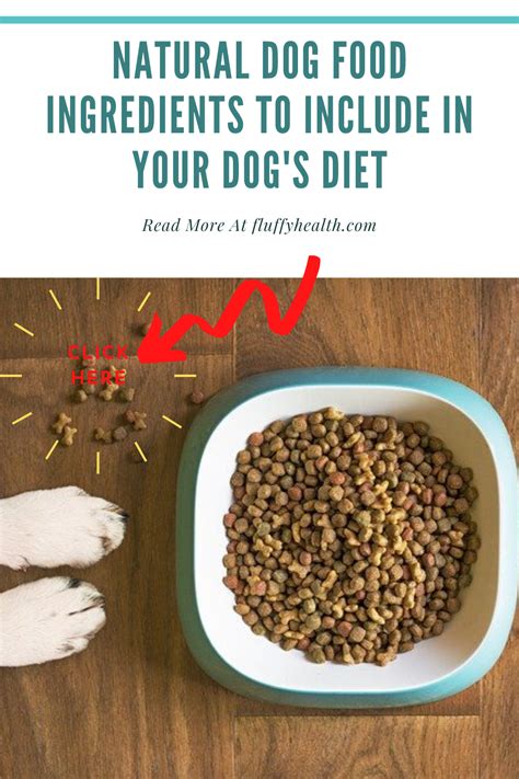 Natural Dog Food Ingredients To Include In Your Dog's Diet | Fluffyhealth