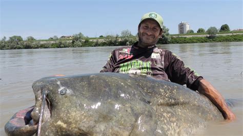 Fisherman catches 9-foot-long catfish in Italian river