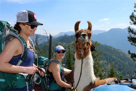 Llama Trekking | Swan Mountain Outfitters