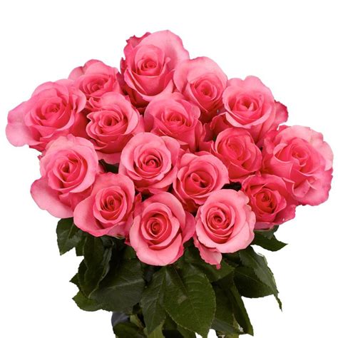 Globalrose 100 Pink Roses Fresh Flower Delivery-pink-roses-assorted-100 - The Home Depot