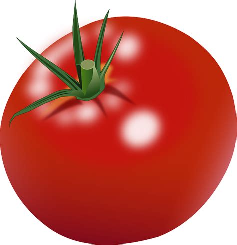 Free vector graphic: Tomato, Ripe, Red, Food, Healthy - Free Image on Pixabay - 304316