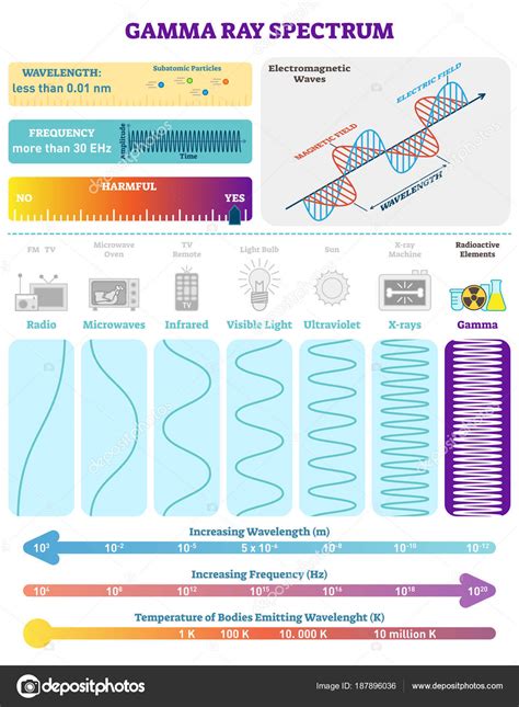 Electromagnetic Waves: Radioactive Gamma Rays Spectrum. Vector ...