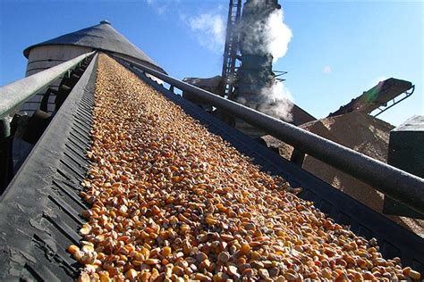 China to ‘Strictly Control’ Corn Ethanol Production Due to Maize Shortage