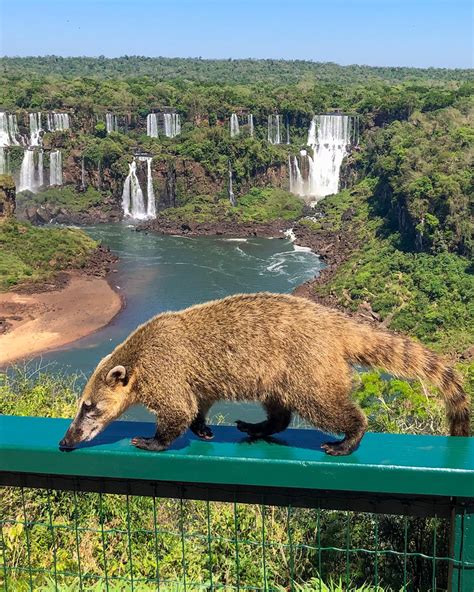 12 Facts About Iguazu Falls to Inspire Your Wanderlust