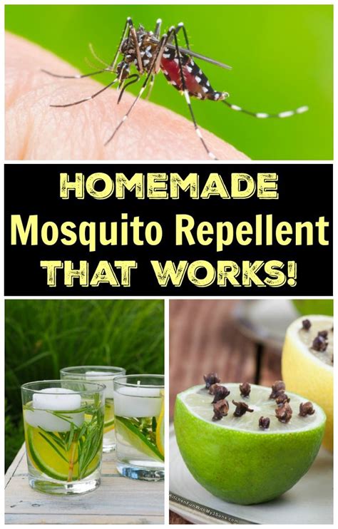 How To Make Natural Homemade Mosquito Repellent with only 5-ingredients ...