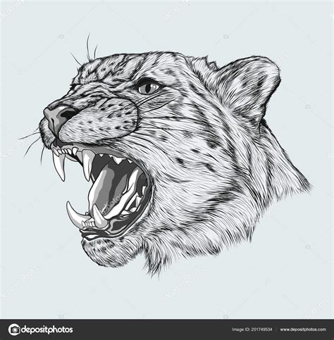 Leopard Face Tattoo Angry Leopard Muzzle Portrait Snow Leopard Stock Vector Image by ©Miklovash ...