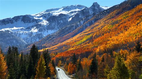 The best drives to see fall colors in Colorado | 9news.com