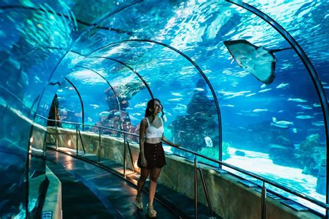 Barcelona Aquarium: Skip-the-Line Admission Ticket | GetYourGuide