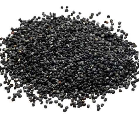 Poppy Seeds - Blue Poppy Seeds | Savory Spice