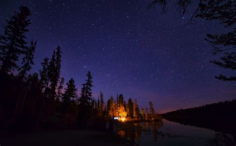 Pine Trees Under Starry Night Wallpaper,HD Nature Wallpapers,4k ...