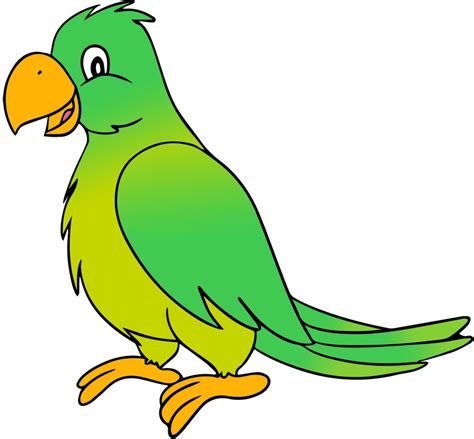 Free Cartoon Parrot Pictures, Download Free Cartoon Parrot Pictures png images, Free ClipArts on ...