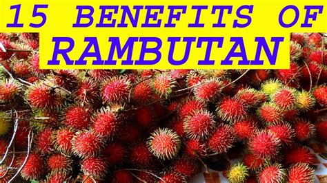 Rambutan Fruit Benefits Youtube - health benefits