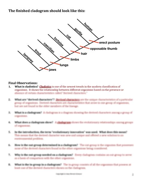 SOLUTION: Let Build a Cladogram Teacher Guide - Studypool - Worksheets Library