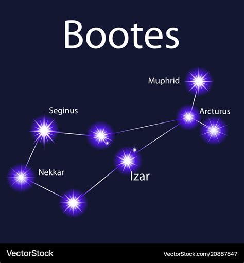 Constellation bootes with stars muphrid seginus Vector Image