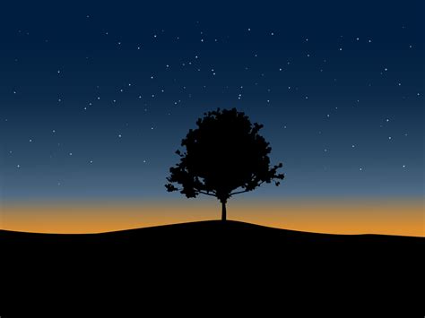 Night Sky and Tree Silhouette 3642052 Vector Art at Vecteezy