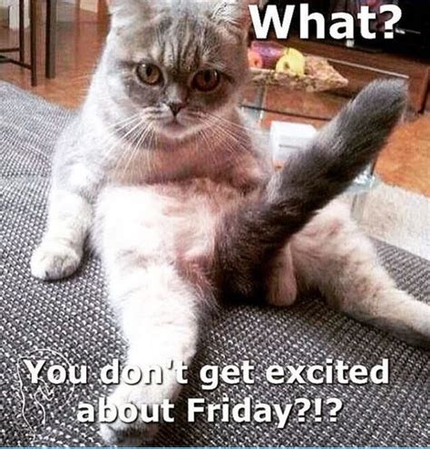 Almost Friday Meme & Funny Memes Images Collection - Picsmine